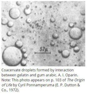 Coacervates | EasyBiologyClass