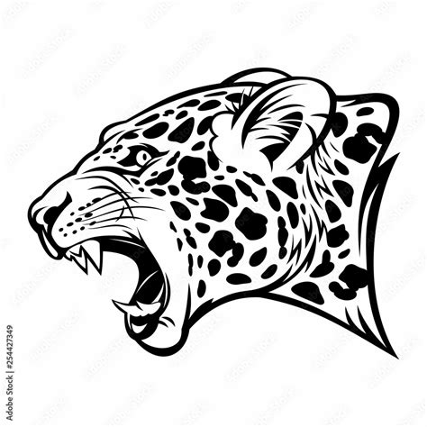 Growling jaguar vector image. Stock Vector | Adobe Stock