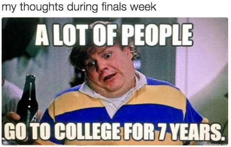 When you're trying to accept your fate after a particularly rough finals week: | Funny college ...