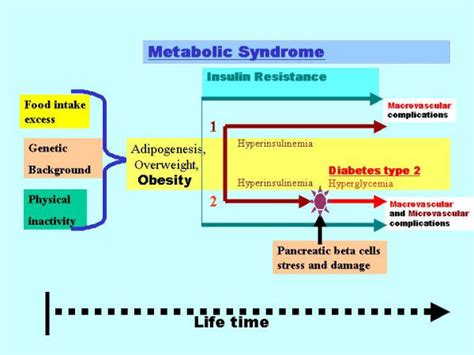 The relationship between metabolic syndrome, insulin resistance ...