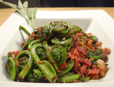 Fiddlehead Ferns (Recipe) | Recipes, Vegetable dishes, Fiddlehead fern ...