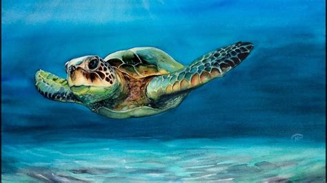 Watercolor Sea Turtle Painting Demonstration - YouTube | Sea turtle painting, Sea turtle art ...