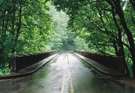 Rainy Bridge Free Photo Download | FreeImages