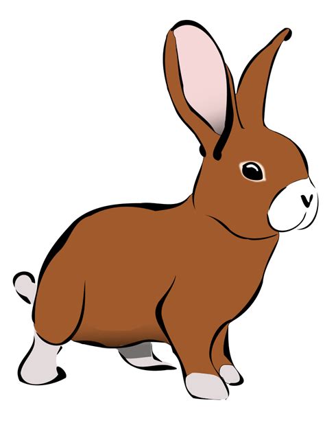 Free clipart rabbit farm pictures on Cliparts Pub 2020! 🔝