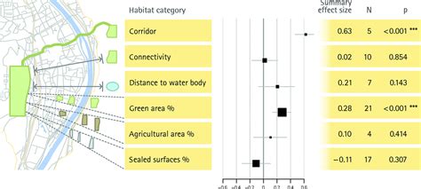 Corridors as the solution to maintaining urban biodiversity ...