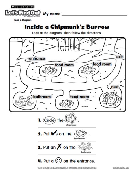 Chipmunk Burrow Diagram