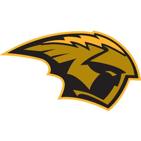 University of Wisconsin-Oshkosh Titans Color Codes Hex, RGB, and CMYK - Team Color Codes