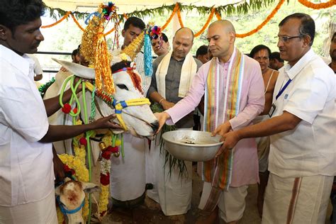 Kanuma Festival Observed with Religious Fervour in Sri Venkateswara ...