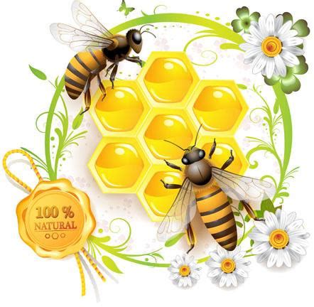 Learn Quick Way to Heal Wounds: Medihoney & Its Benefits