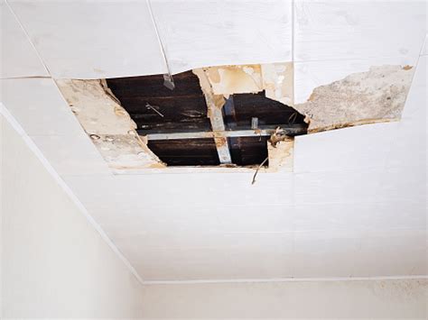 Water Damaged Ceiling Stock Photo - Download Image Now - iStock