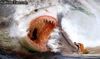 BLOODY ATTACK OF SHARK!! - SHARK WORLD!