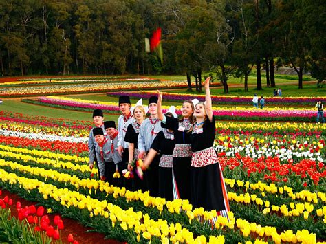 Tulip festival – Travel Tour