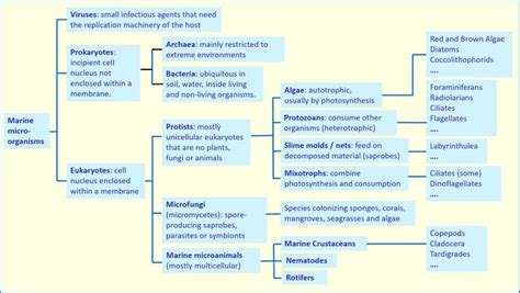 Marine microorganisms - Coastal Wiki