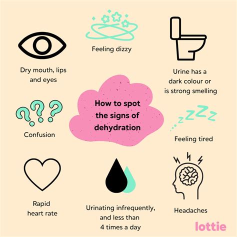 Symptoms of Dehydration in the Elderly: Key Signs | Lottie