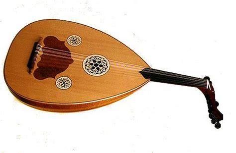 Image result for lute like instrument with ten strings | Lute, Instruments, Musical instruments