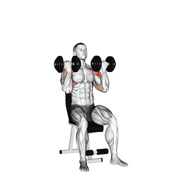 Dumbbell Arnold Press - Guide, Benefits, and Form