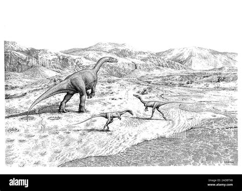 Prosauropod and theropod dinosaurs, illustration. The large prosauropod dinosaur (left) is ...