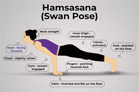 Swan Pose (Hamsasana): Step, Benefits, Precautions – Fitsri Yoga