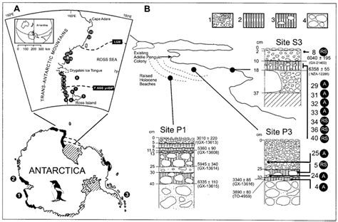 Adélie penguin sampling locations. (A) Distribution of Adélie penguin... | Download Scientific ...