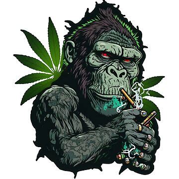 "gorilla smoking weed" Sticker for Sale by futuresimo04 | Redbubble