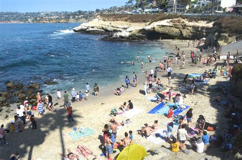 5 BEST Things to Do at La Jolla Cove - swim, snorkel & location