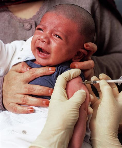 Bcg Vaccination Photograph by Mark Thomas/science Photo Library - Fine Art America