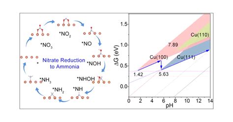 Theoretical Insights into Superior Nitrate Reduction to Ammonia ...