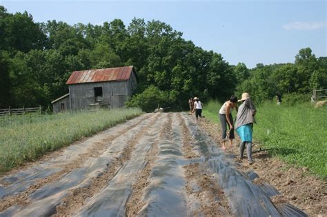 Nolt’s Produce Supplies – Sustainable Market Farming