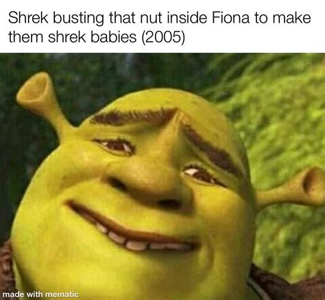 Wow can’t believe the shrek babies turn 15 this year time flies. : r/memes