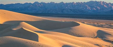 “The Hundred Names of the Desert Wind” | Climate and Agriculture in the Southeast