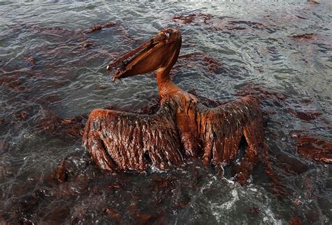 Bp Oil Spill Underwater