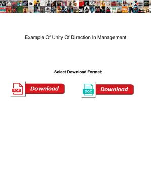 Fillable Online Example Of Unity Of Direction In Management. Example Of ...