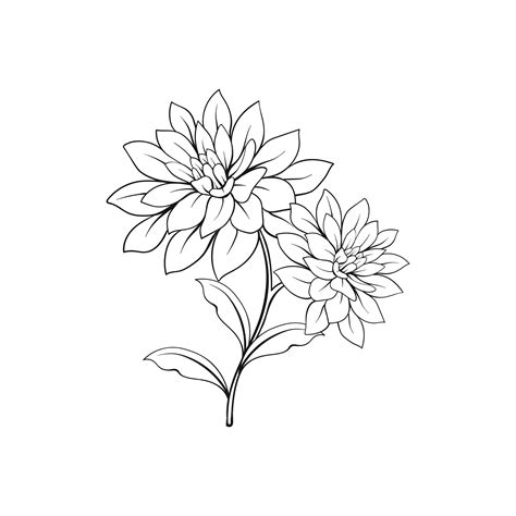 Flower Outline Drawing Vector | Best Flower Site