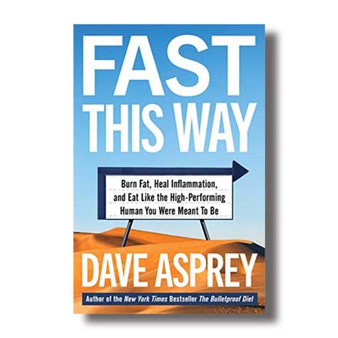 Fast This Way Dave Asprey SNAP Summaries Analysis