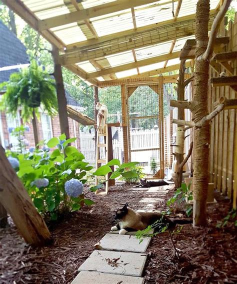 Building the Purrfect Outdoor Catio!