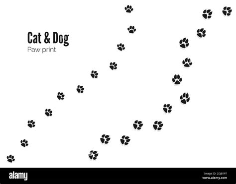 Cat and Dog Paw Print. Pets or Animals Paw Trail. Vector illustration ...