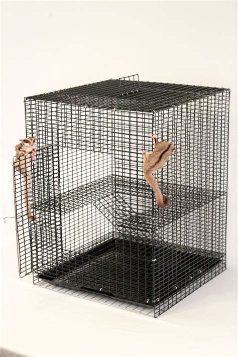 Jung-L-Gym Premium Start-R-Cage | Sugar glider cage, Sugar glider ...