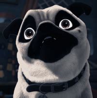 Frank (Pug) | PAW Patrol Fanon Wiki | Fandom