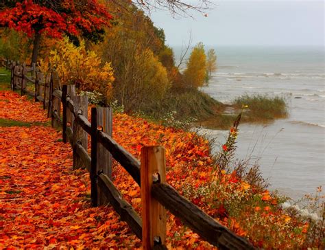 Autumn Shoreline | Autumn scenery, Scenery, Landscape