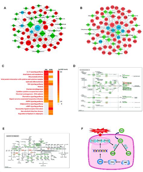 Transcriptome-proteome-metabolome integrated analysis and potential ...