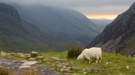 Eryri-Nationalpark in Wales - Touren und Aktivitäten | Expedia.de