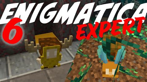 Drygmy Farm Ep7 Enigmatica 6 Expert [1.16.5 Modded Minecraft] - YouTube