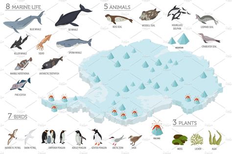 Antarctica isometric flora and fauna , #SPONSORED, #representatives#located#maps#fully #Ad ...