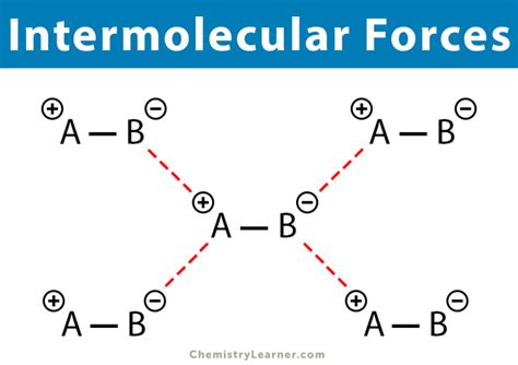 Intermolecular Forces: Definition, Types, and Examples