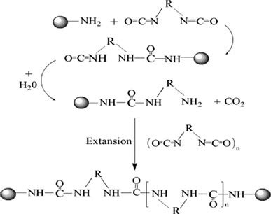 The mechanism of diisocyanate reacted with amino groups to cause the ...