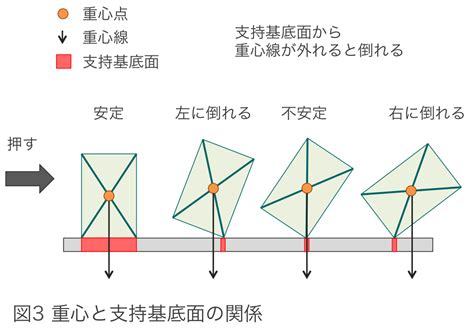 身体重心と安定性（重心と支持基底面） - Study channel