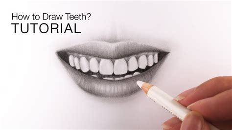 How To Draw A Mouth With Teeth - Each row of teeth is covered with soft ...