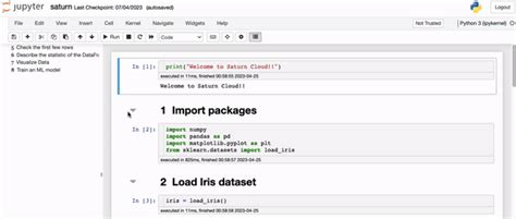 A Simple Guide to Jupyter Notebook Extensions | Saturn Cloud Blog