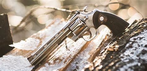 New for 2020: The Colt Python is BACK in 6, 4.25-inch Stainless Models