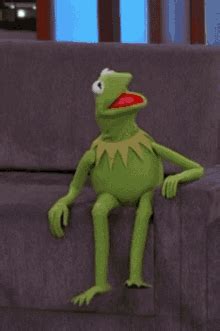 Kermit The Frog Laugh GIFs | Tenor